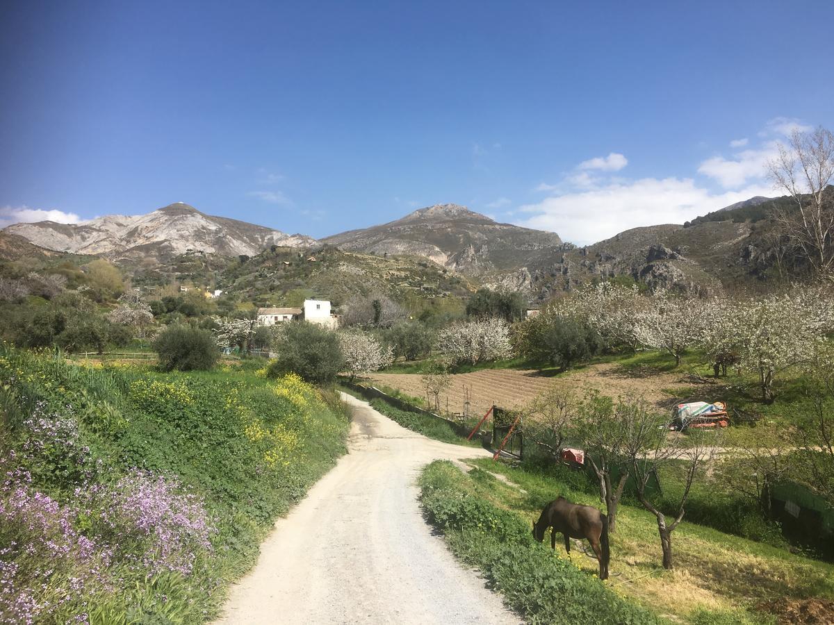 Rural Fuente La Teja