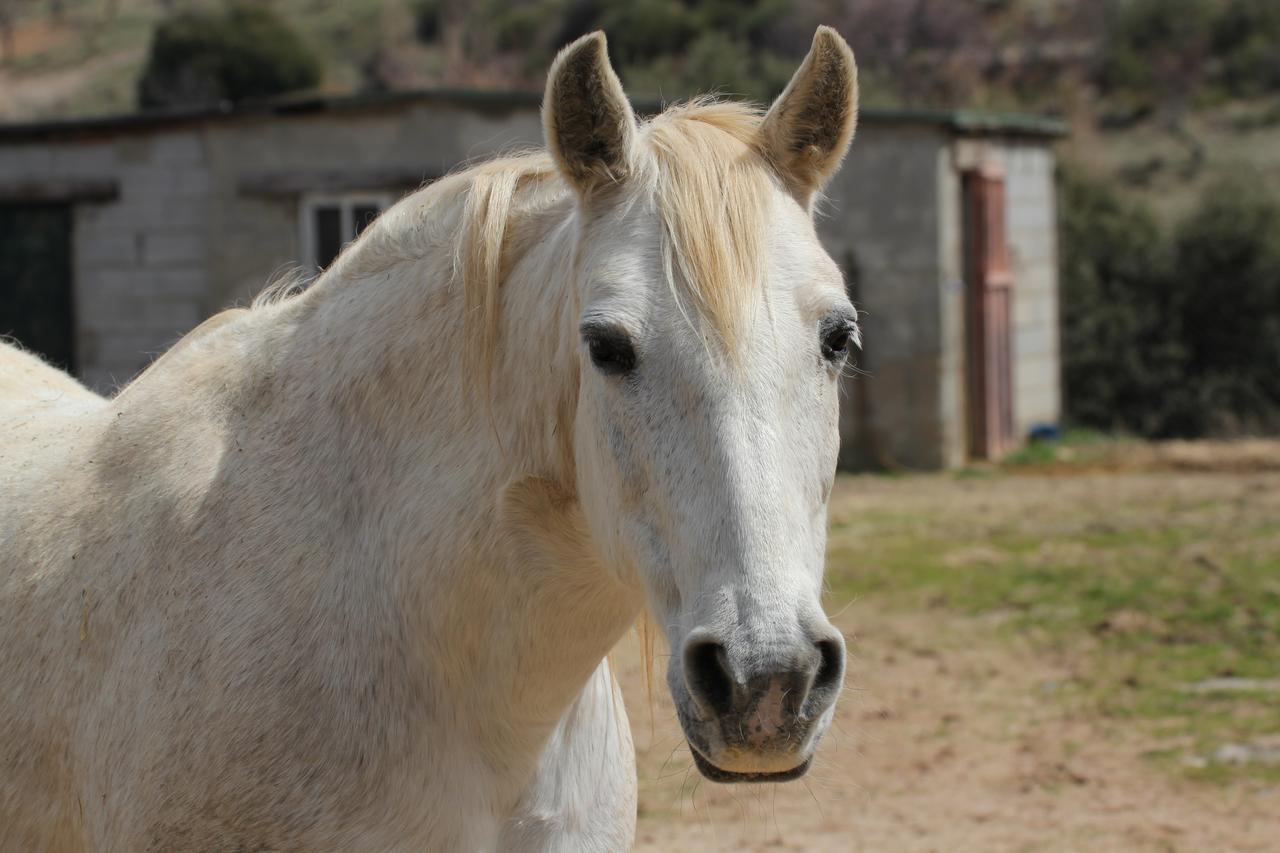 Rural Fuente La Teja Bed and breakfast