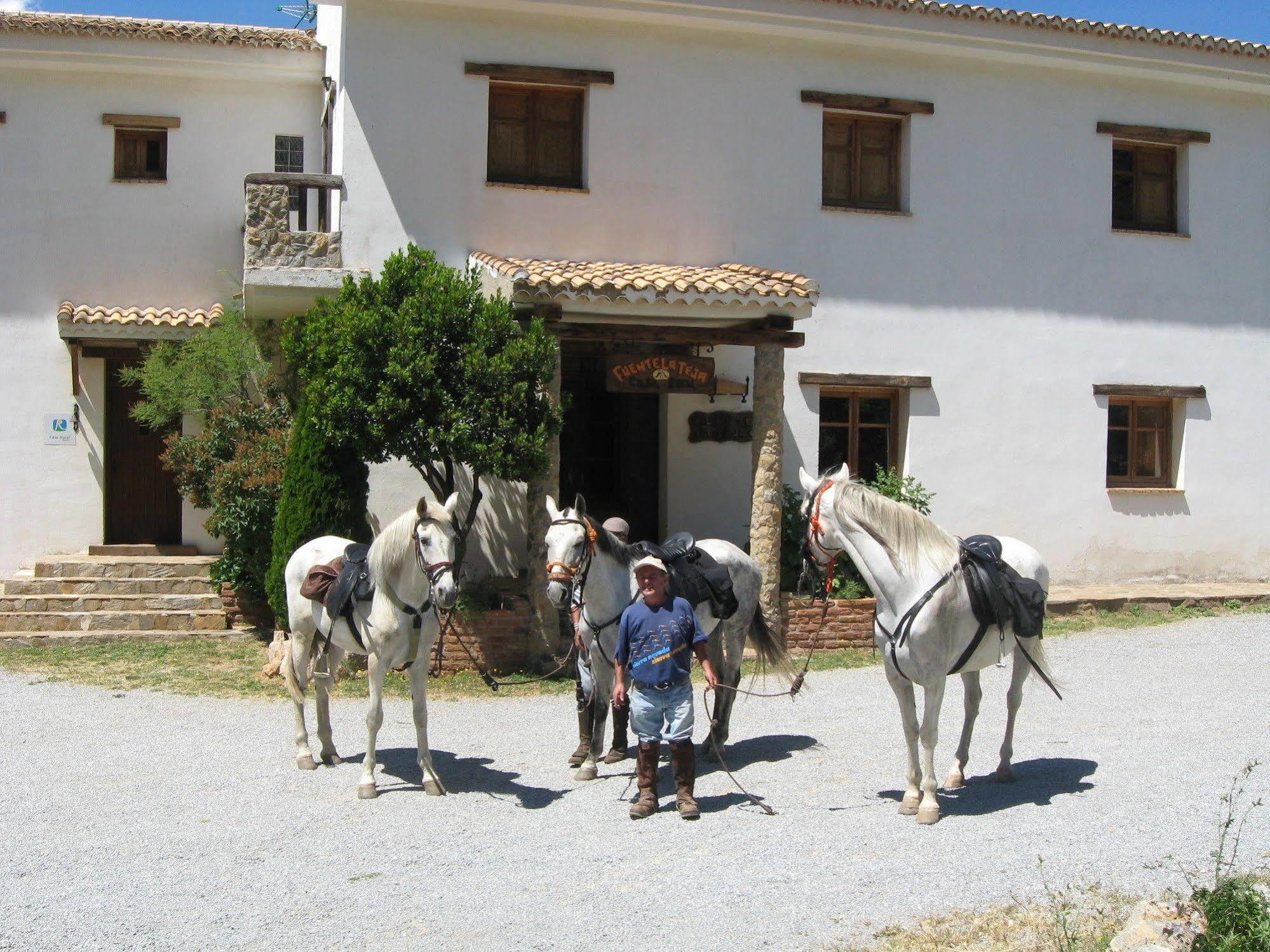 Rural Fuente La Teja 3* Güéjar Sierra